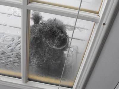 ./2009/Snow/thumbSnow